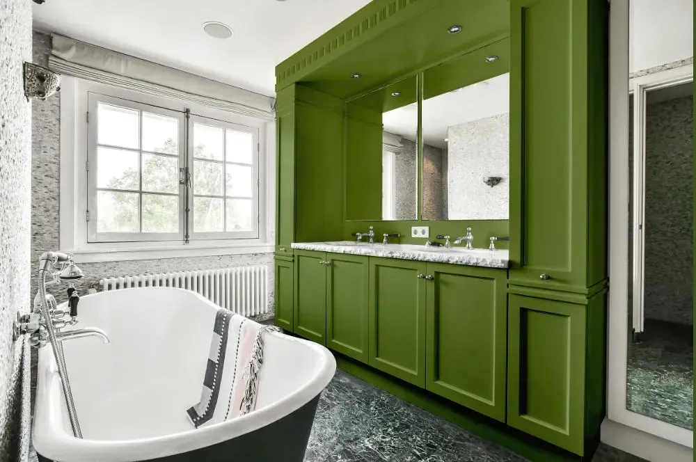 NCS S 4040-G40Y victorian bathroom paint