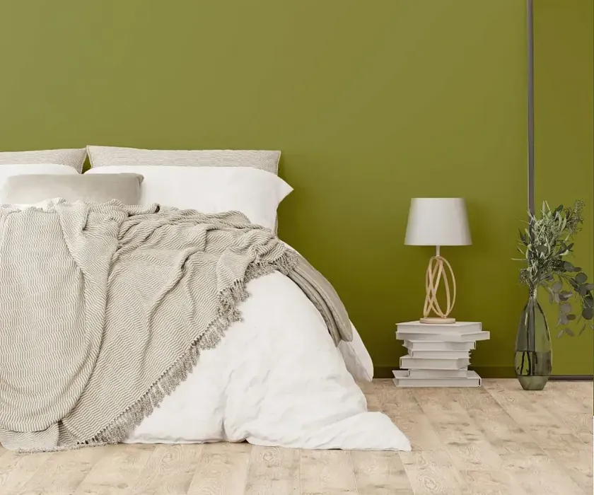 NCS S 4040-G60Y cozy bedroom wall color