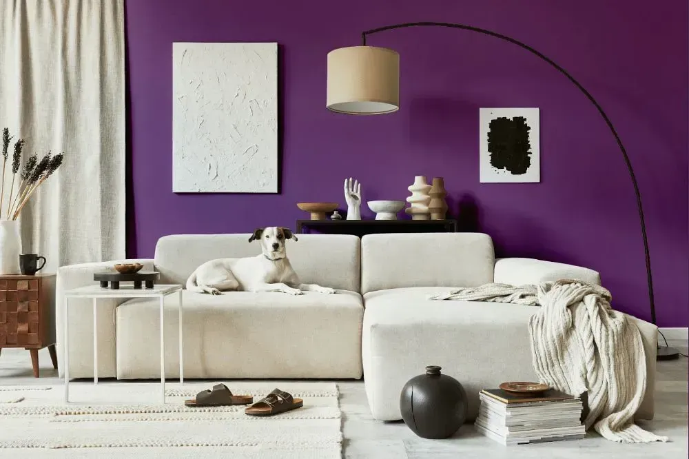 NCS S 4040-R50B cozy living room