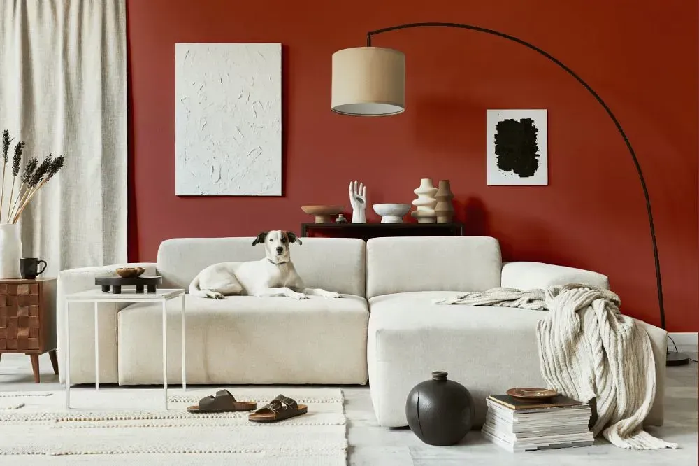 NCS S 4040-Y80R cozy living room