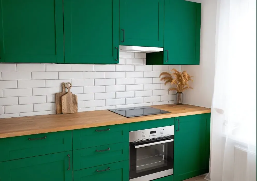 NCS S 4050-B90G kitchen cabinets