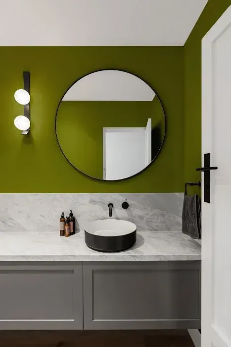 NCS S 4050-G60Y minimalist bathroom