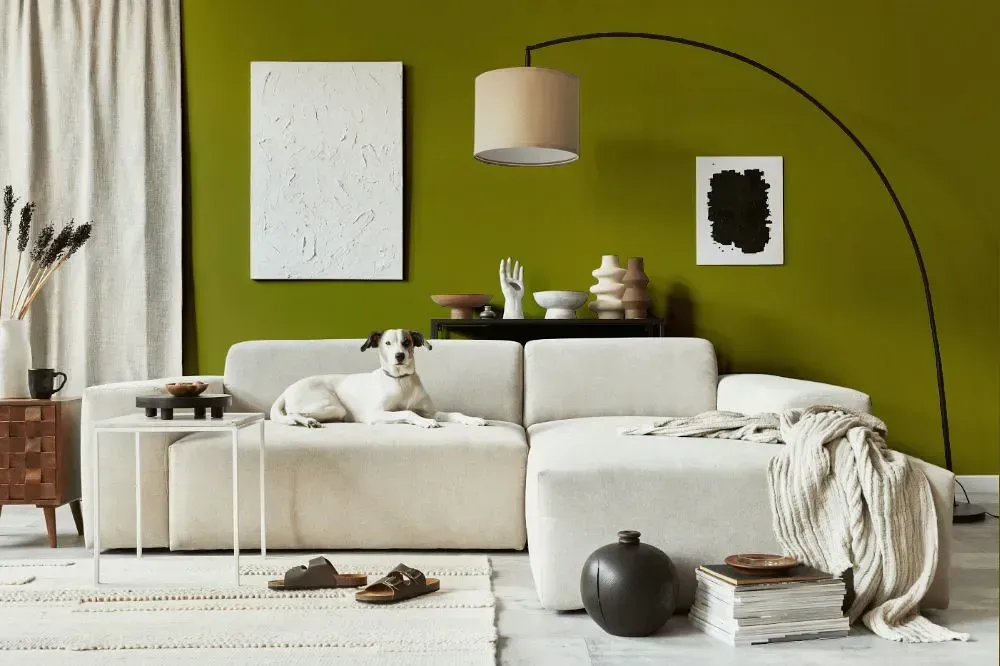 NCS S 4050-G70Y cozy living room