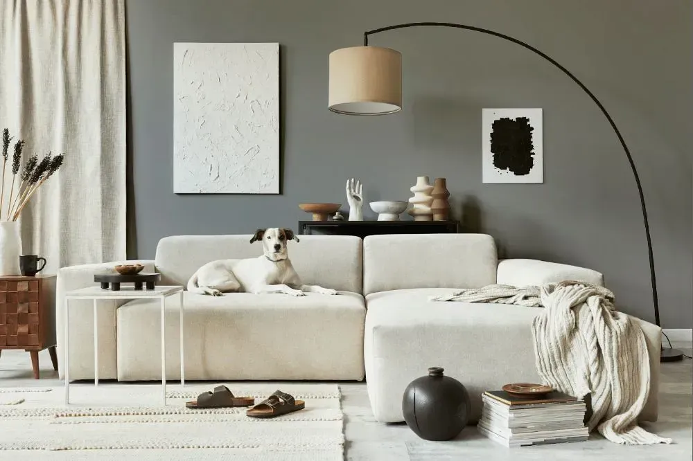 NCS S 4500-N cozy living room