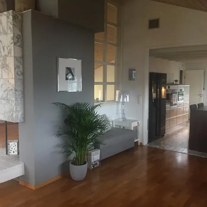 NCS S 4500-N accent wall color