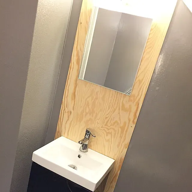 NCS S 4500-N bathroom color