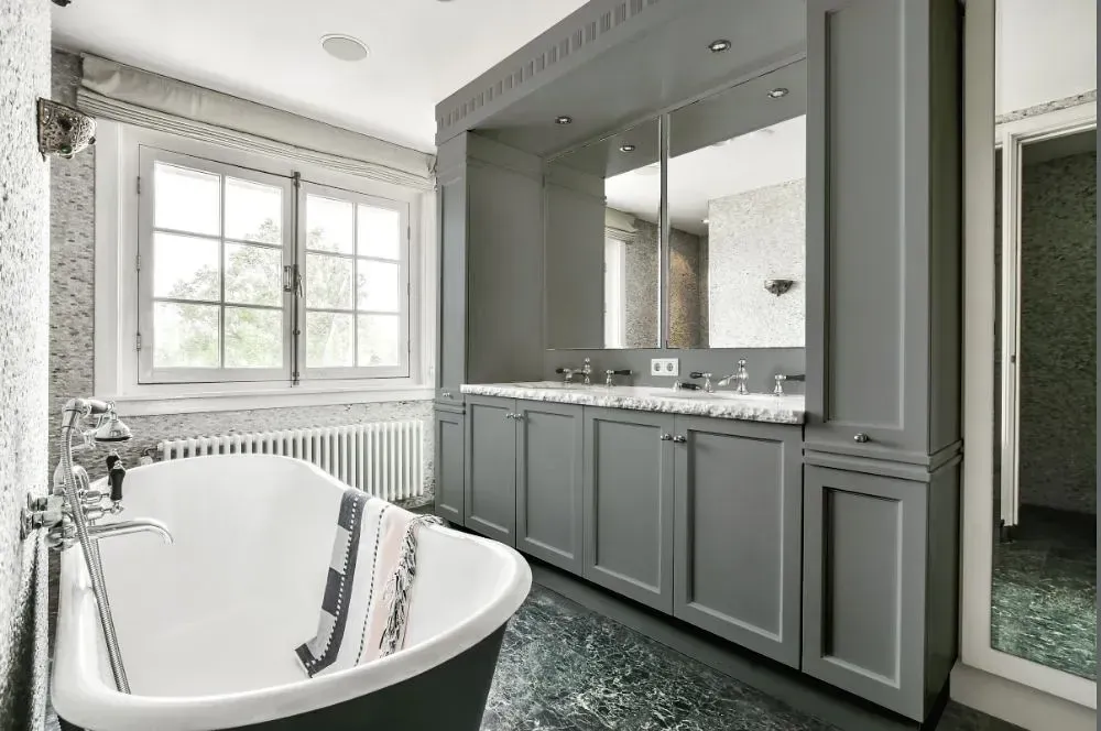 NCS S 4502-G victorian bathroom paint