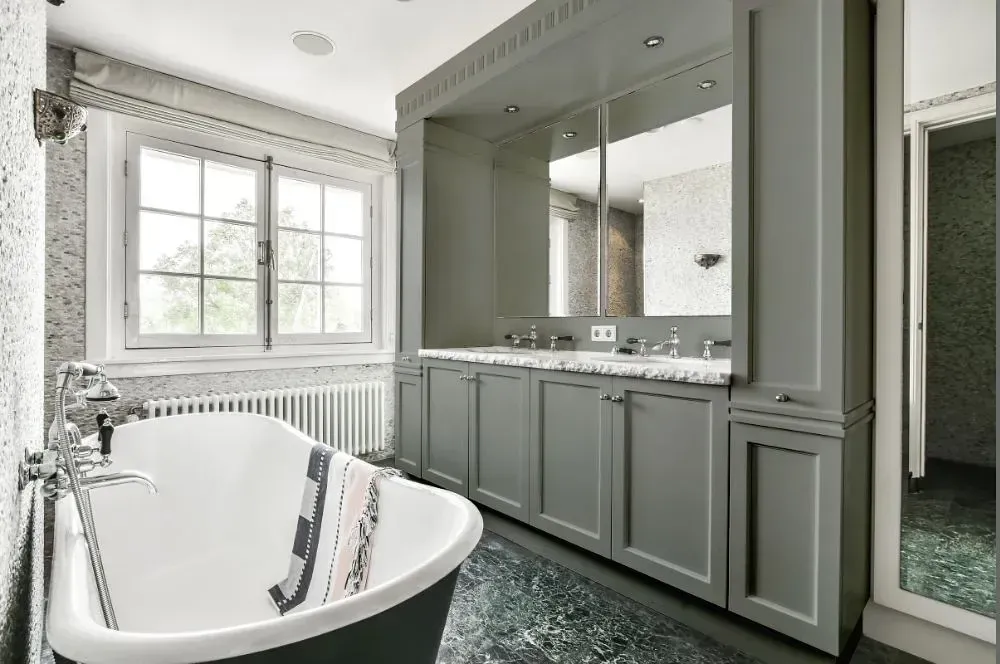 NCS S 4502-G50Y victorian bathroom paint