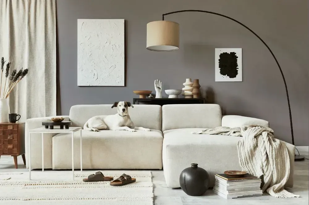 NCS S 4502-R cozy living room