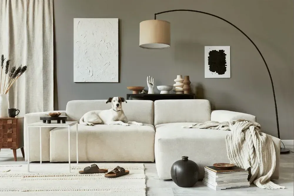 NCS S 4502-Y50R cozy living room