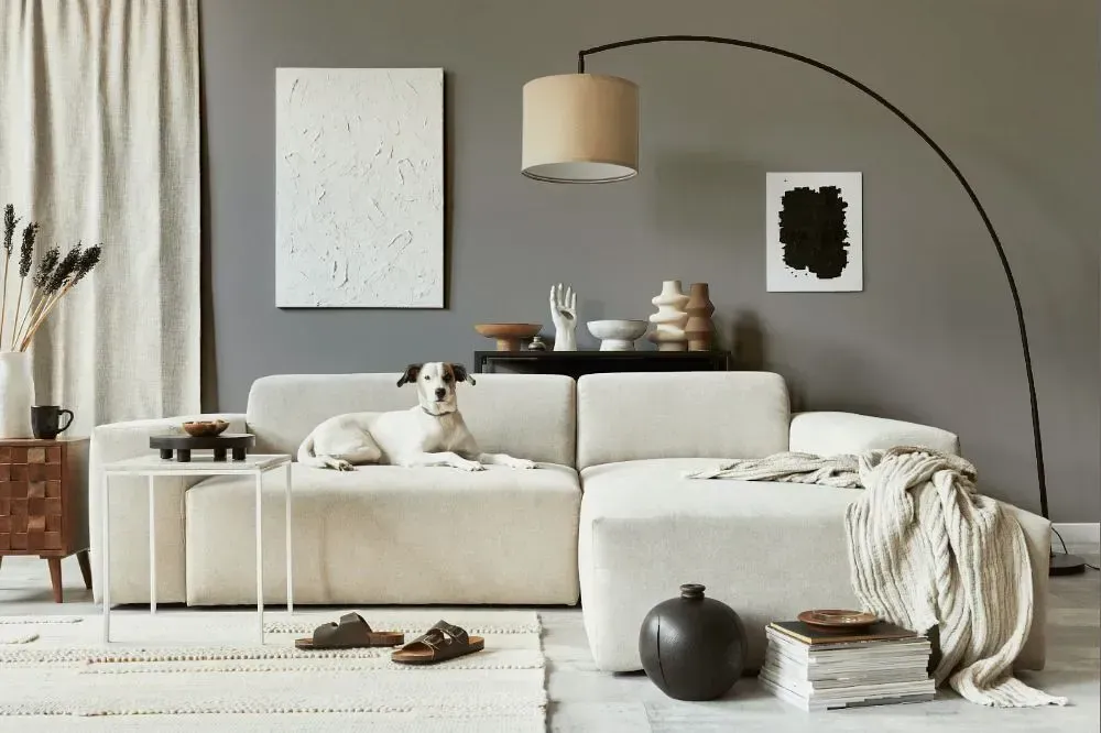 NCS S 4502-Y80R cozy living room