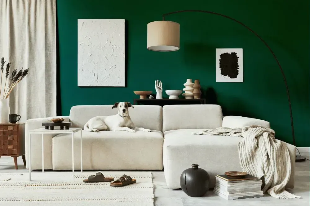 NCS S 4550-B80G cozy living room