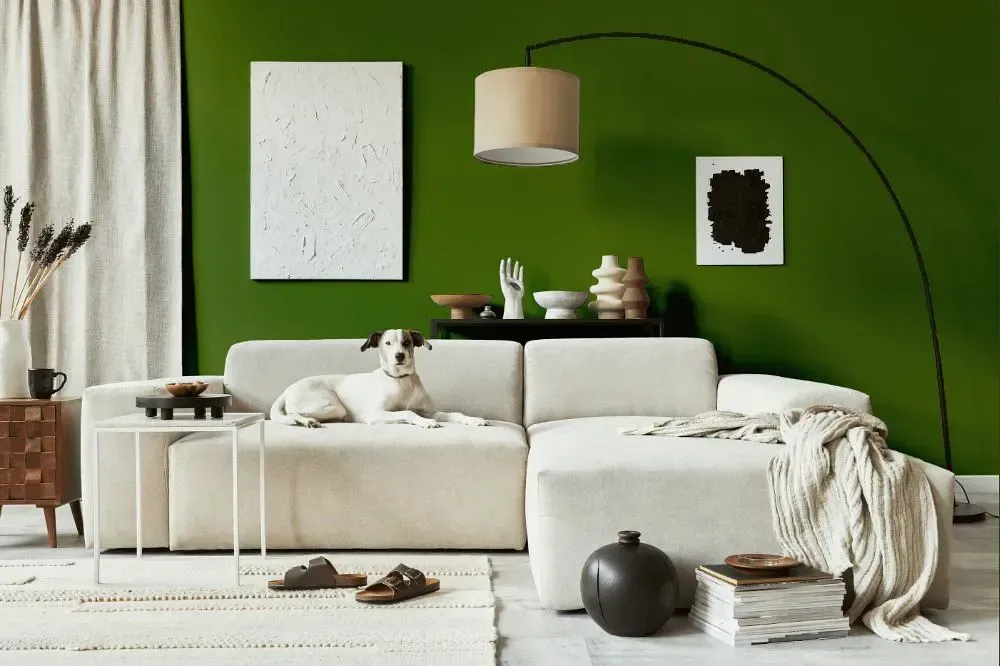 NCS S 4550-G40Y cozy living room