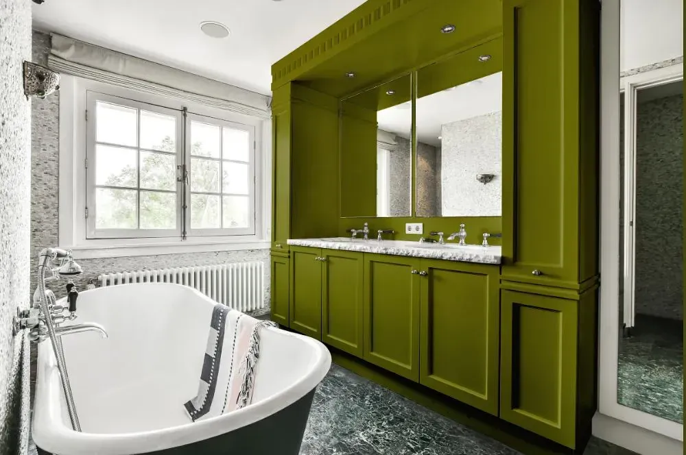 NCS S 4550-G60Y victorian bathroom paint