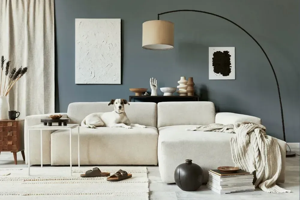 NCS S 5005-B cozy living room