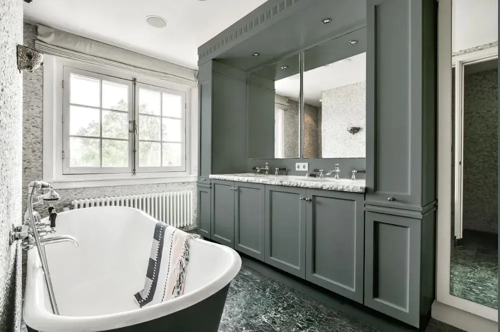 NCS S 5005-B80G victorian bathroom paint