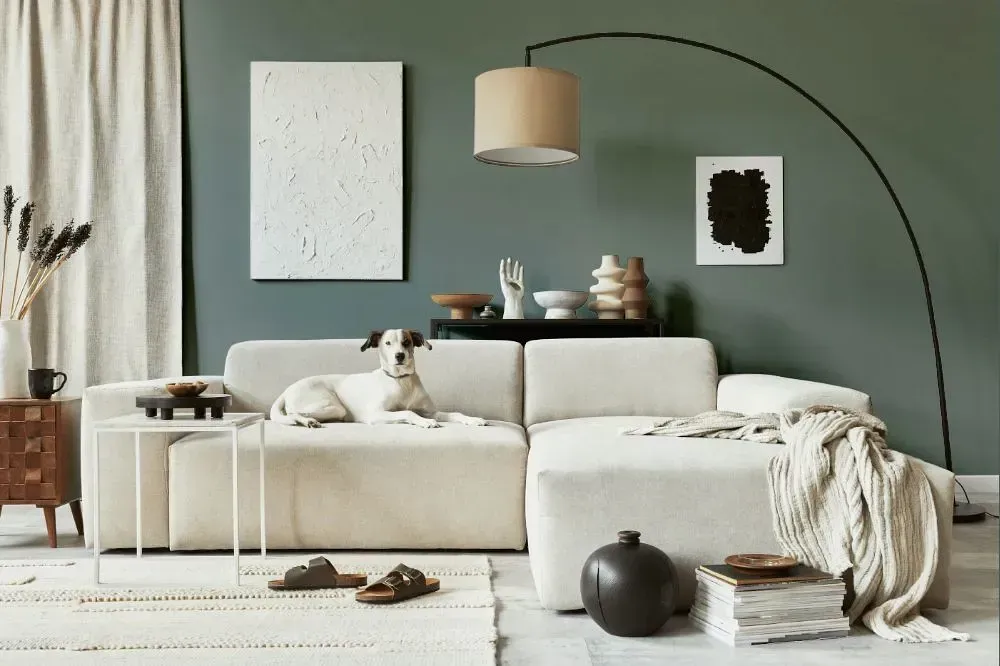 NCS S 5005-G cozy living room