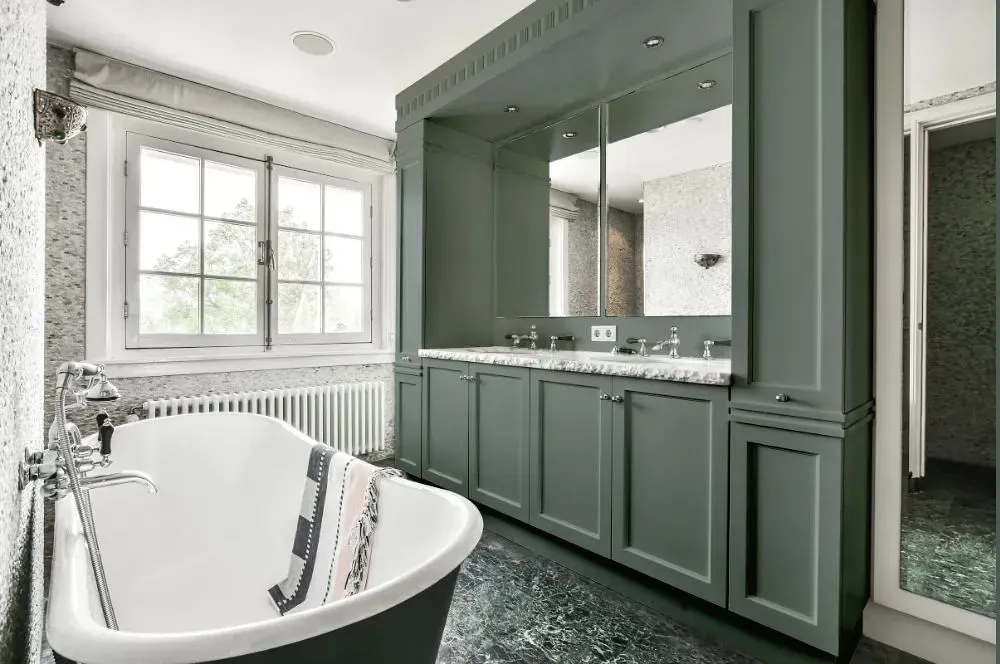 NCS S 5005-G victorian bathroom paint