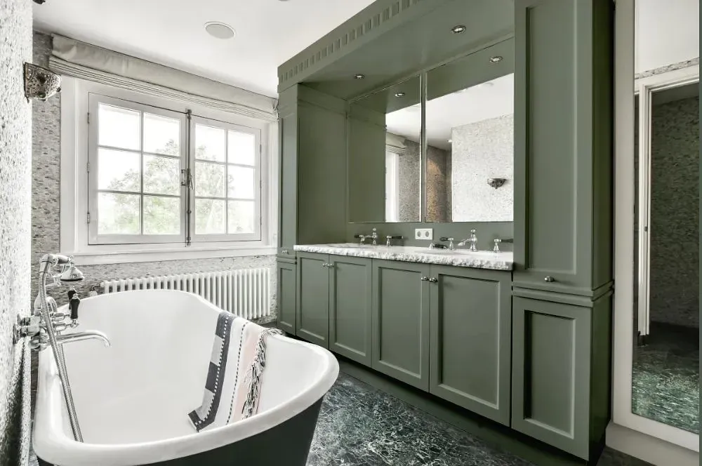 NCS S 5005-G20Y victorian bathroom paint