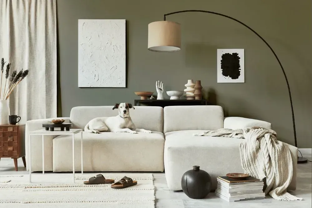 NCS S 5005-G80Y cozy living room