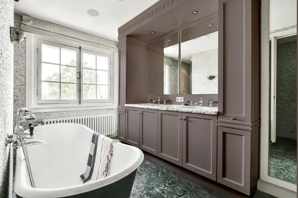 NCS S 5005-R victorian bathroom paint