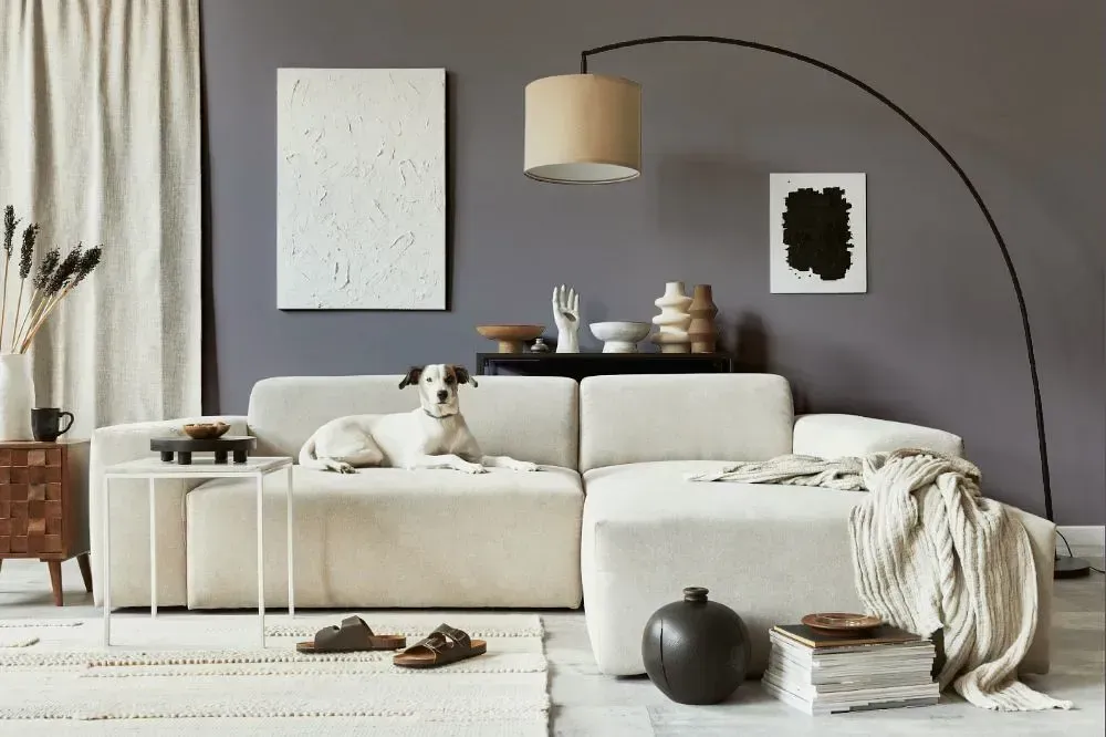 NCS S 5005-R50B cozy living room