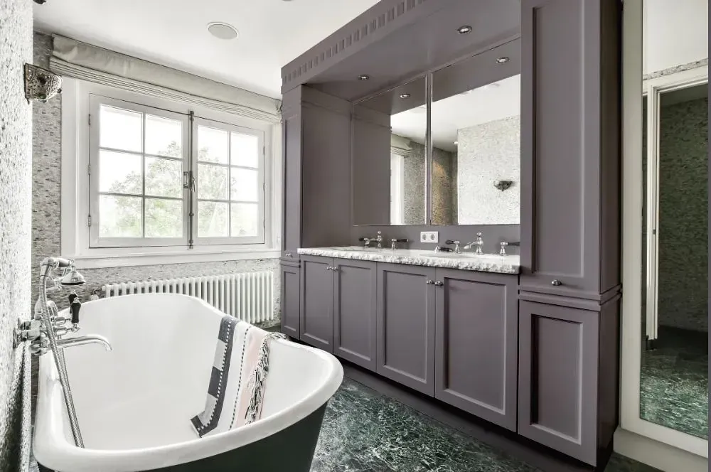 NCS S 5005-R50B victorian bathroom paint