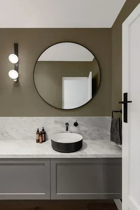 NCS S 5005-Y minimalist bathroom