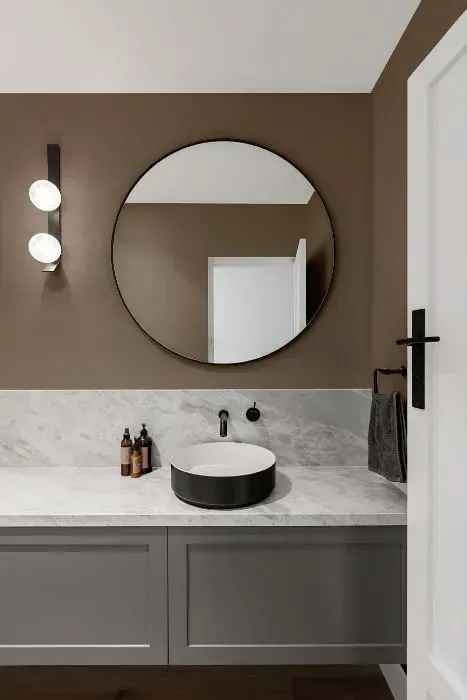 NCS S 5005-Y50R minimalist bathroom