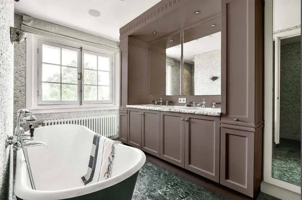 NCS S 5005-Y80R victorian bathroom paint