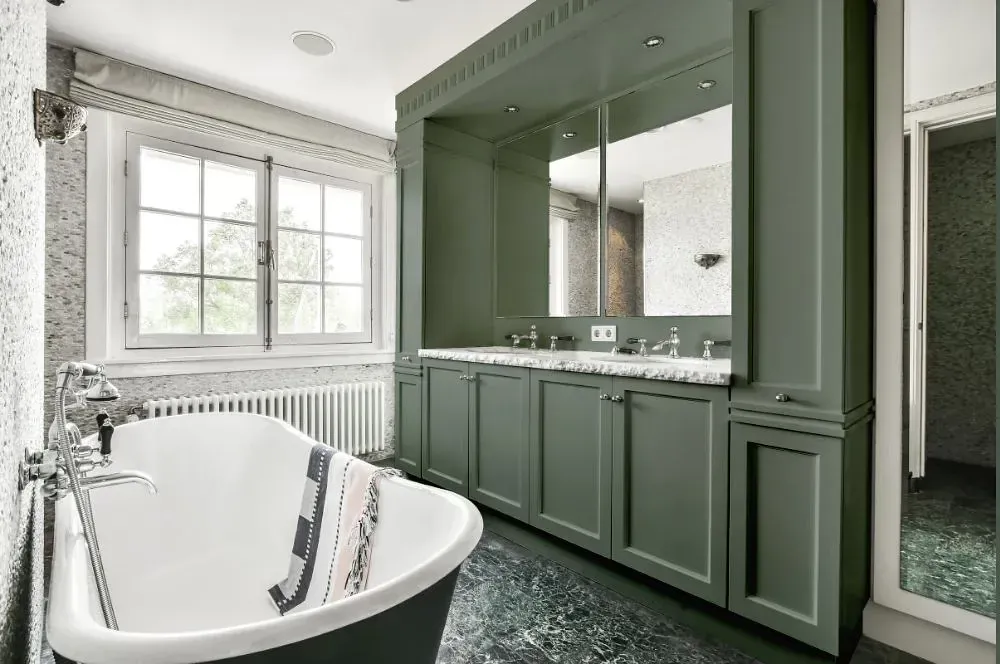 NCS S 5010-G30Y victorian bathroom paint