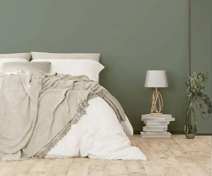 NCS S 5010-G30Y cozy bedroom wall color