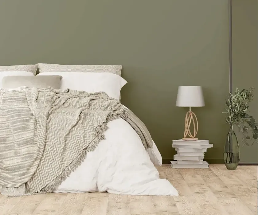 NCS S 5010-G50Y cozy bedroom wall color
