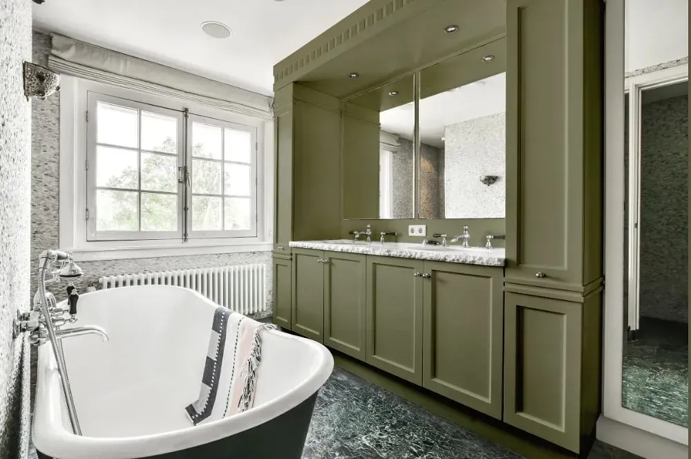 NCS S 5010-G70Y victorian bathroom paint