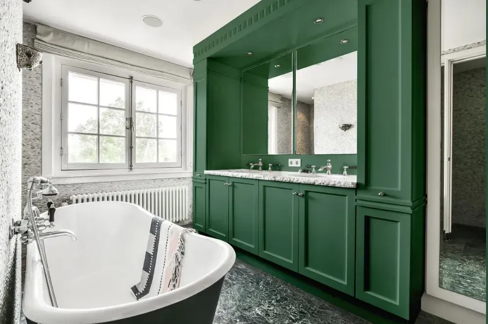 NCS S 5020-G victorian bathroom paint