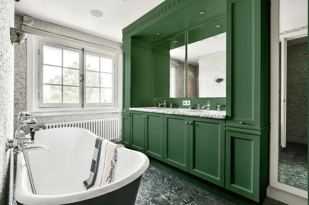 NCS S 5020-G10Y victorian bathroom paint