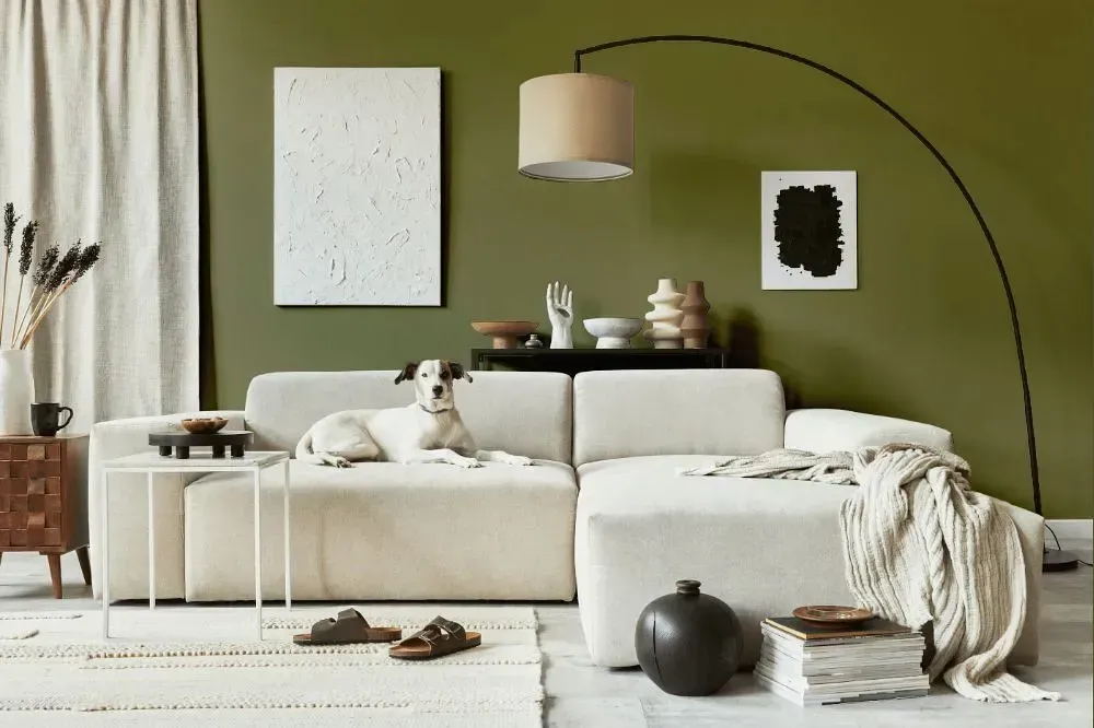 NCS S 5020-G70Y cozy living room