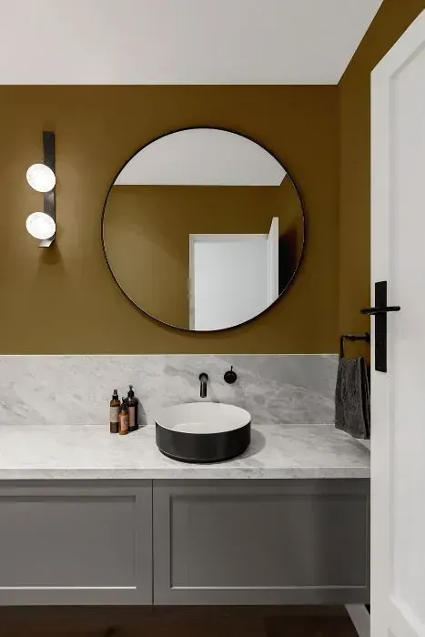 NCS S 5020-Y minimalist bathroom