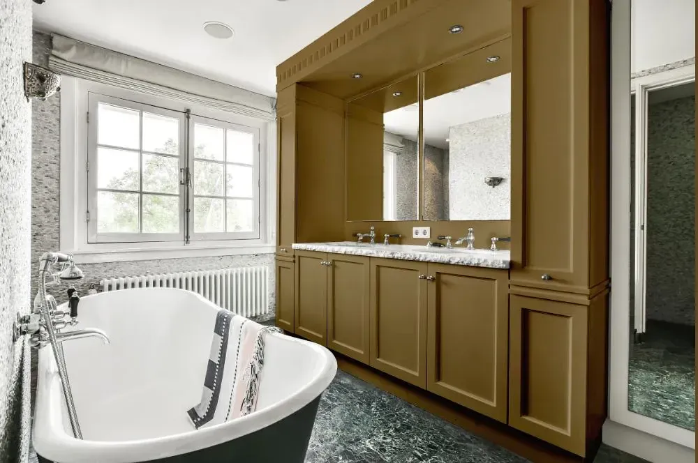 NCS S 5020-Y victorian bathroom paint