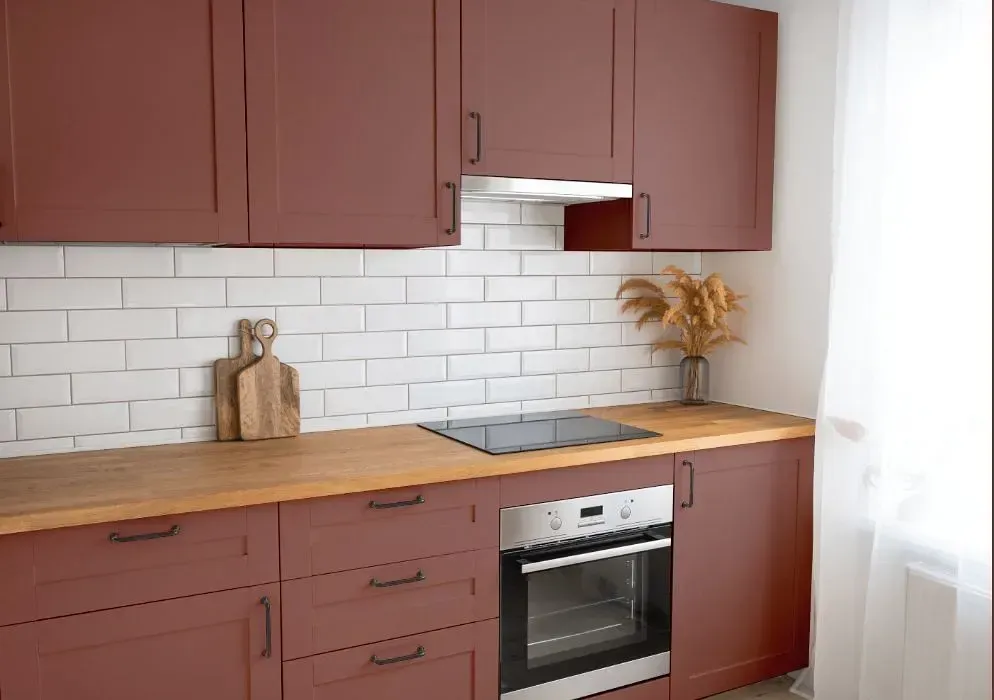 NCS S 5020-Y90R kitchen cabinets