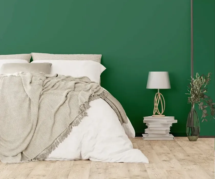 NCS S 5030-G cozy bedroom wall color