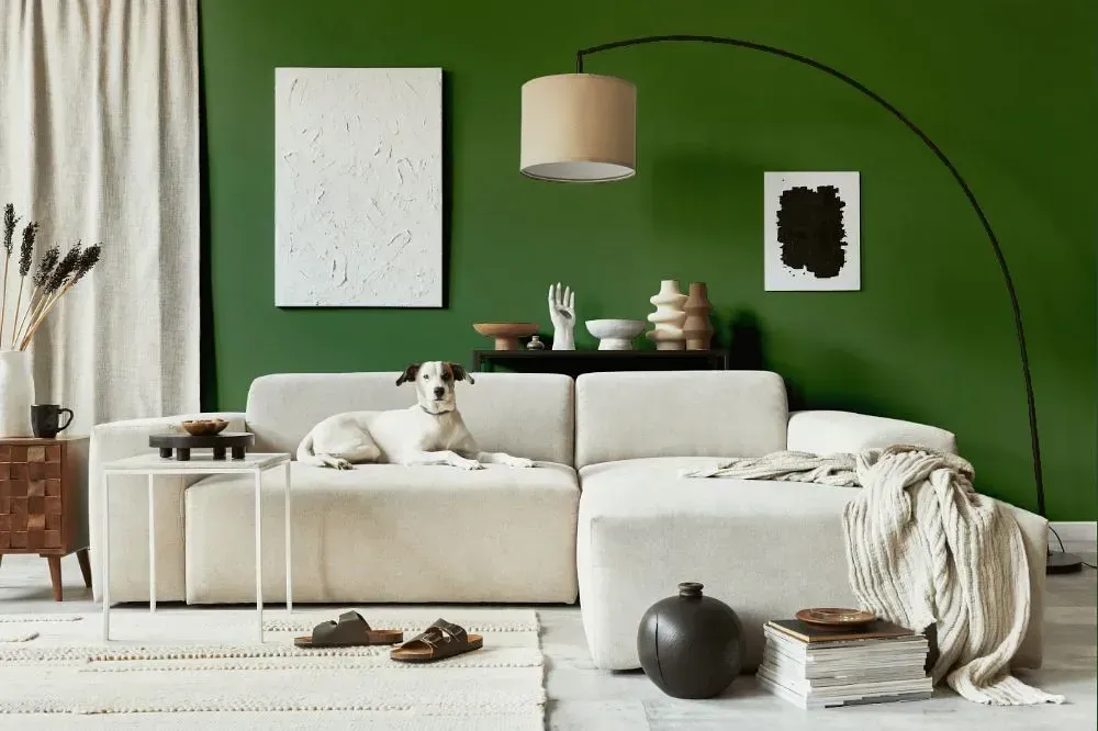 NCS S 5030-G30Y cozy living room