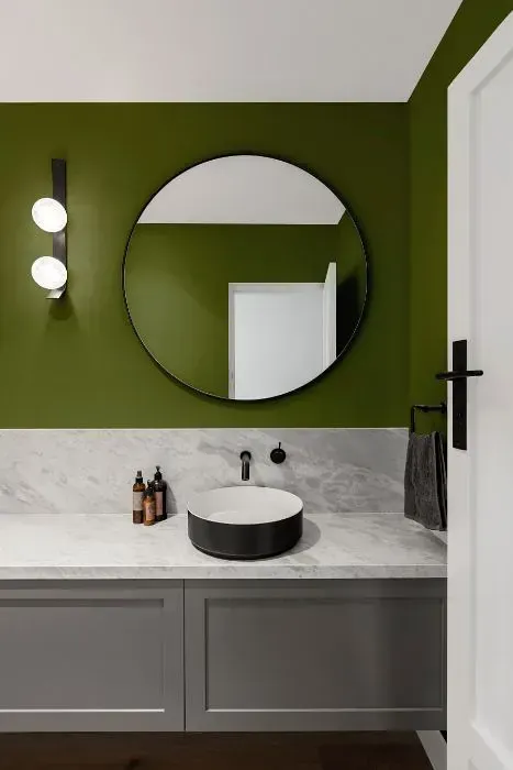 NCS S 5030-G50Y minimalist bathroom