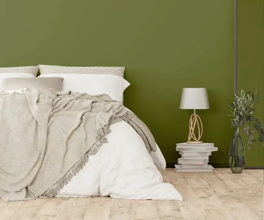 NCS S 5030-G50Y cozy bedroom wall color