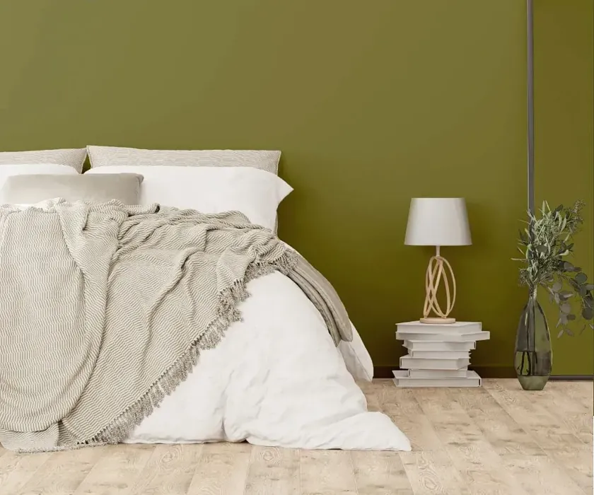 NCS S 5030-G70Y cozy bedroom wall color