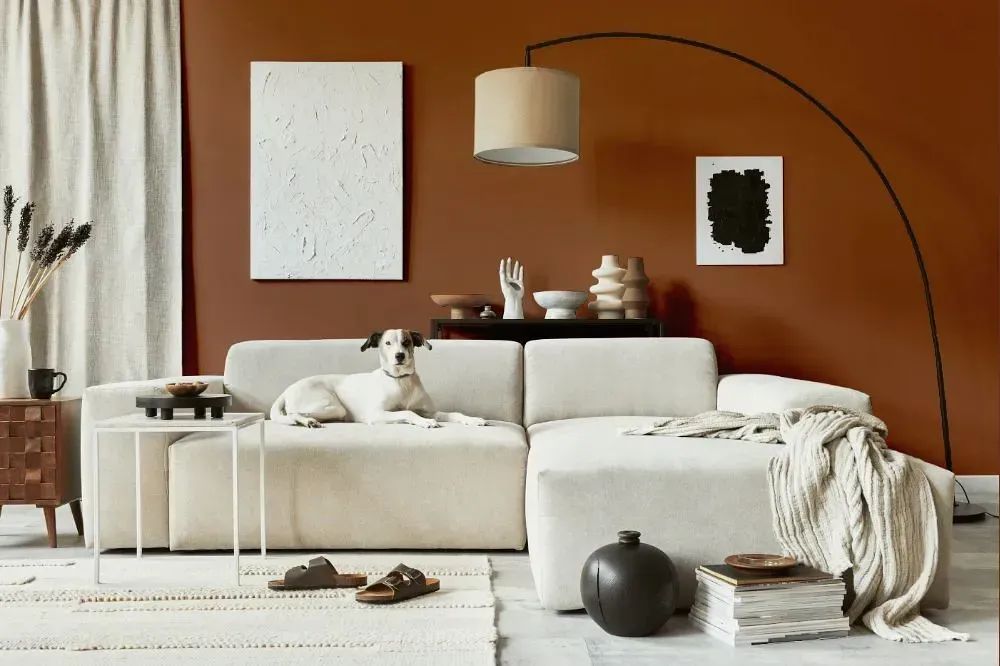 NCS S 5030-Y50R cozy living room