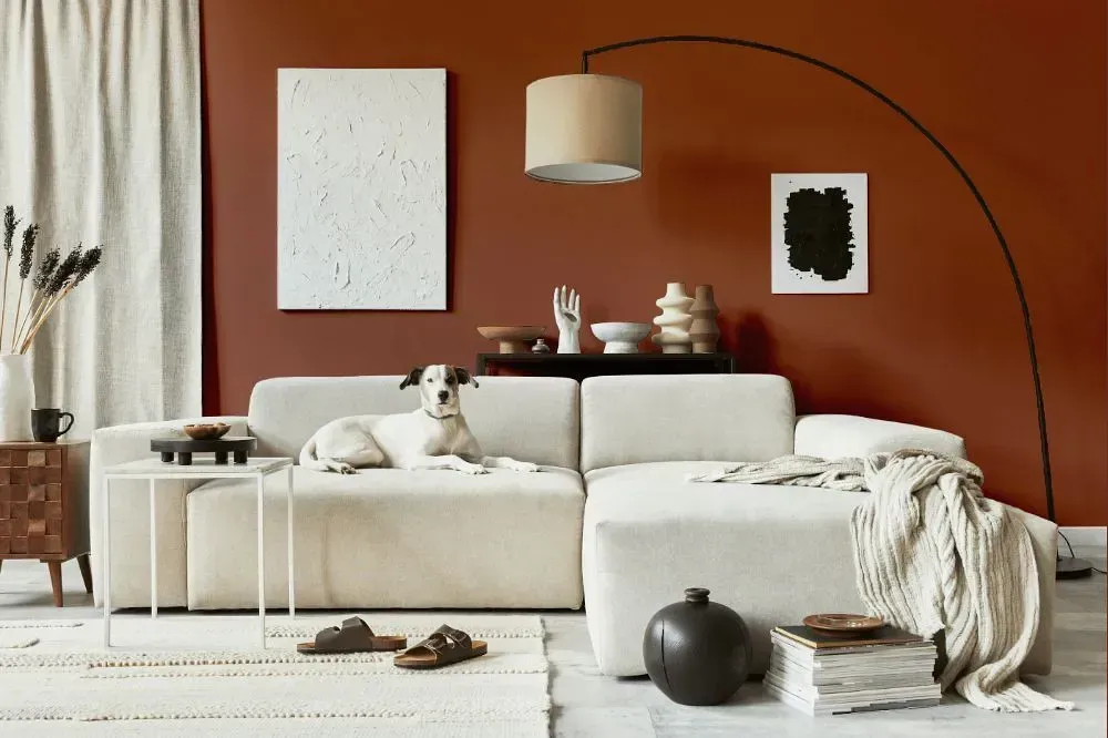NCS S 5030-Y70R cozy living room