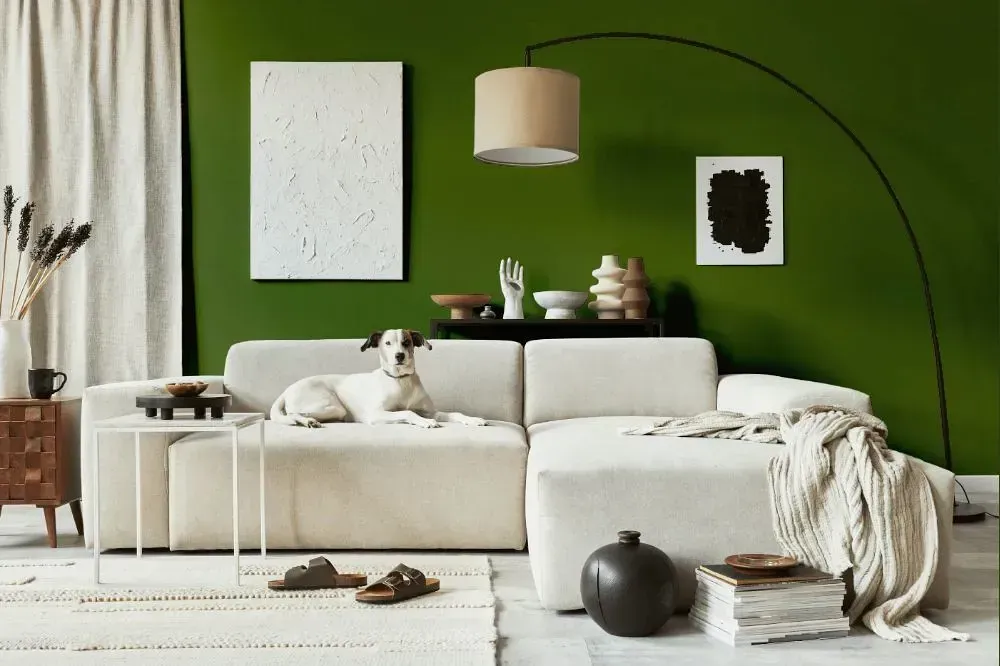 NCS S 5040-G40Y cozy living room