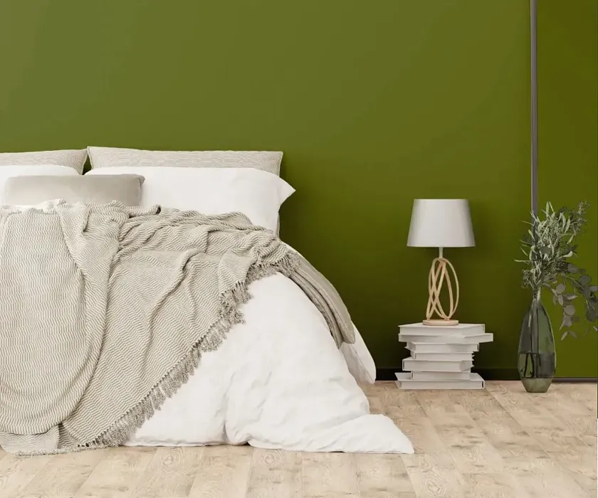 NCS S 5040-G50Y cozy bedroom wall color