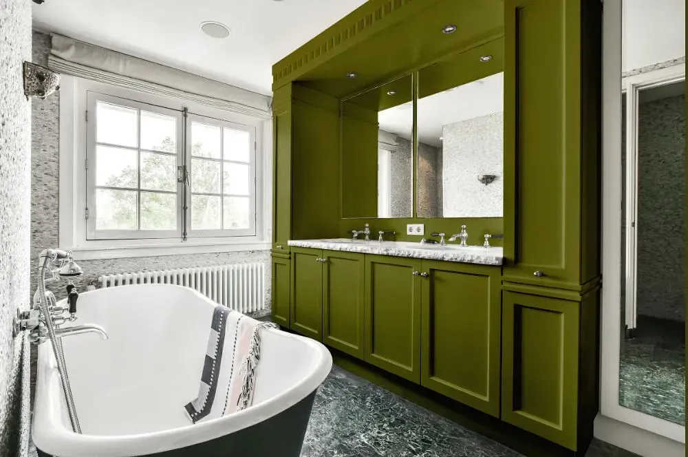 NCS S 5040-G60Y victorian bathroom paint